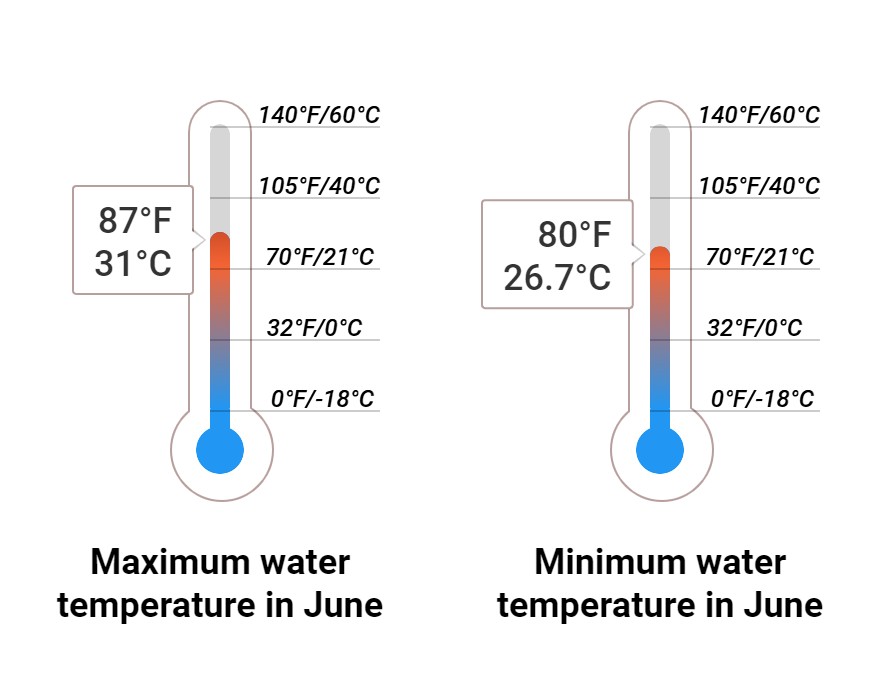 Average Sea temperature